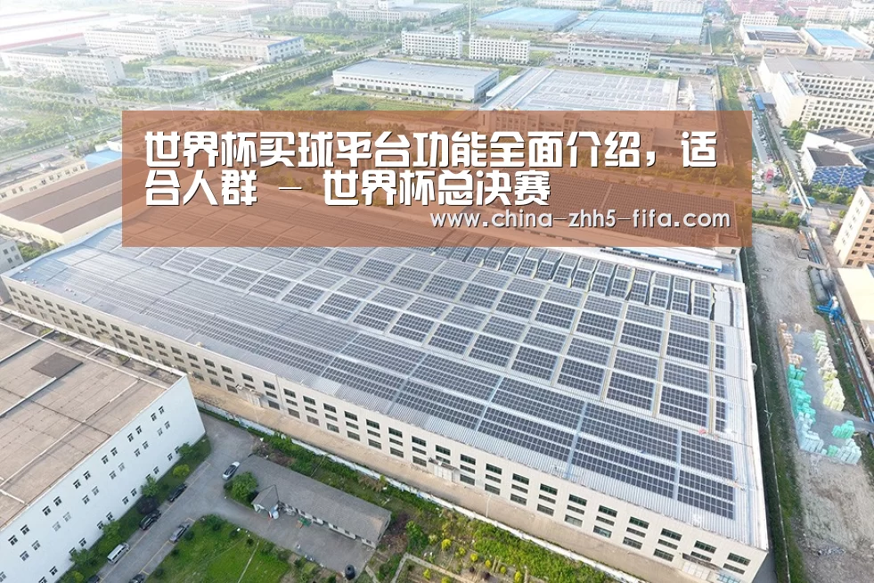 案例展示一