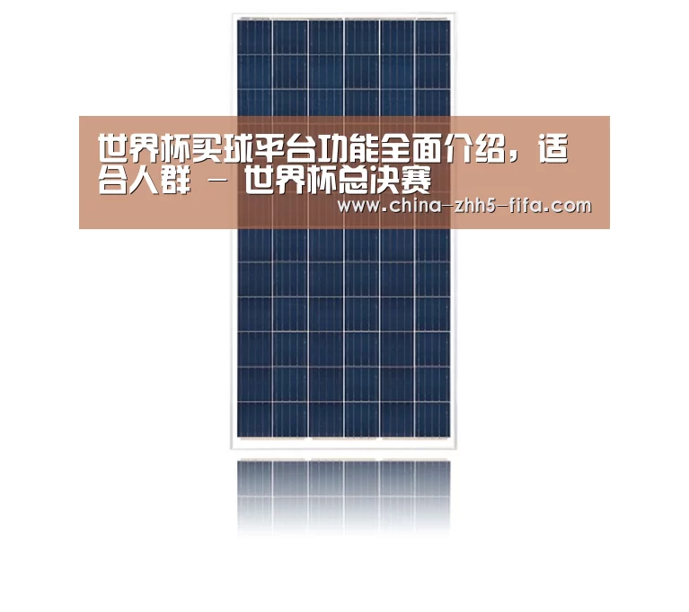 产品名称一