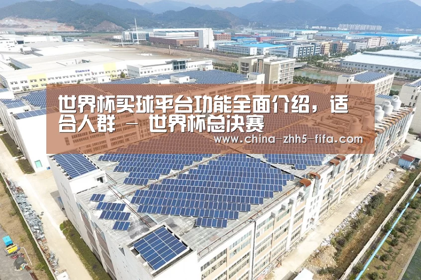 案例展示四