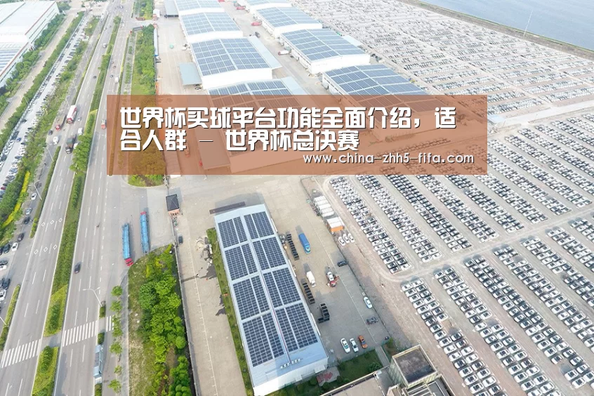 案例展示一
