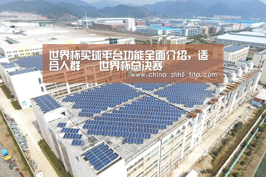 案例展示四