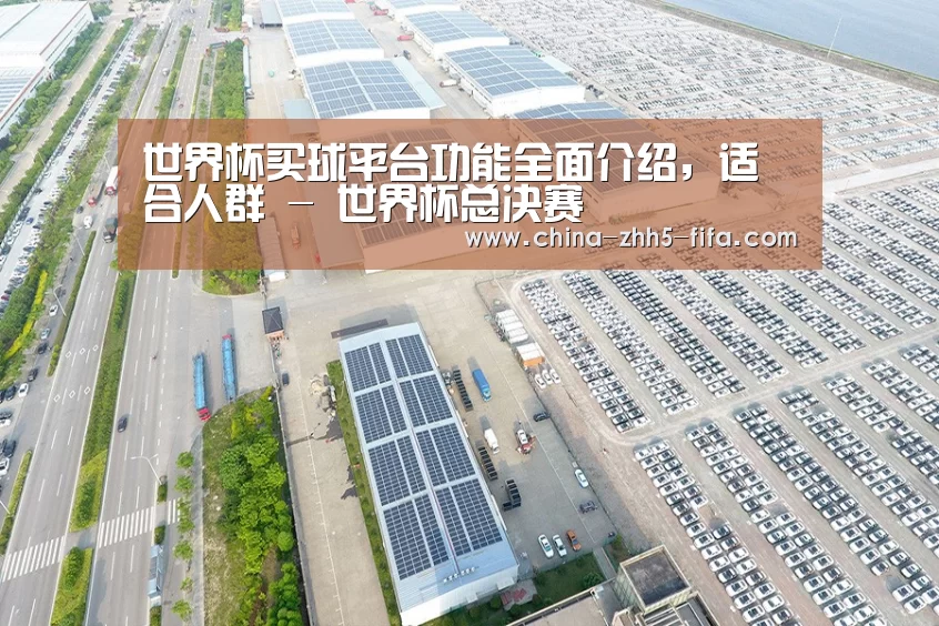 案例展示四