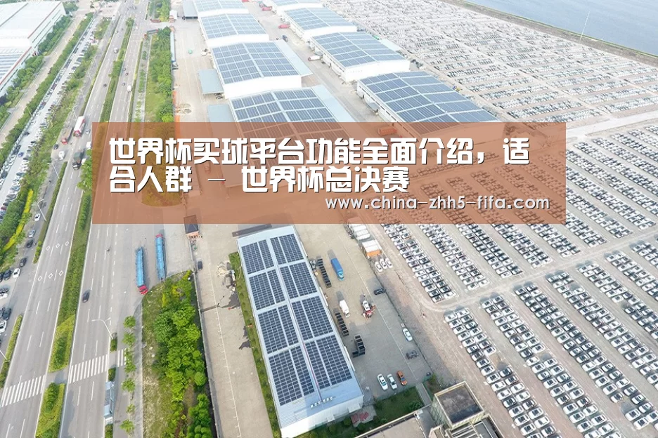 案例展示二